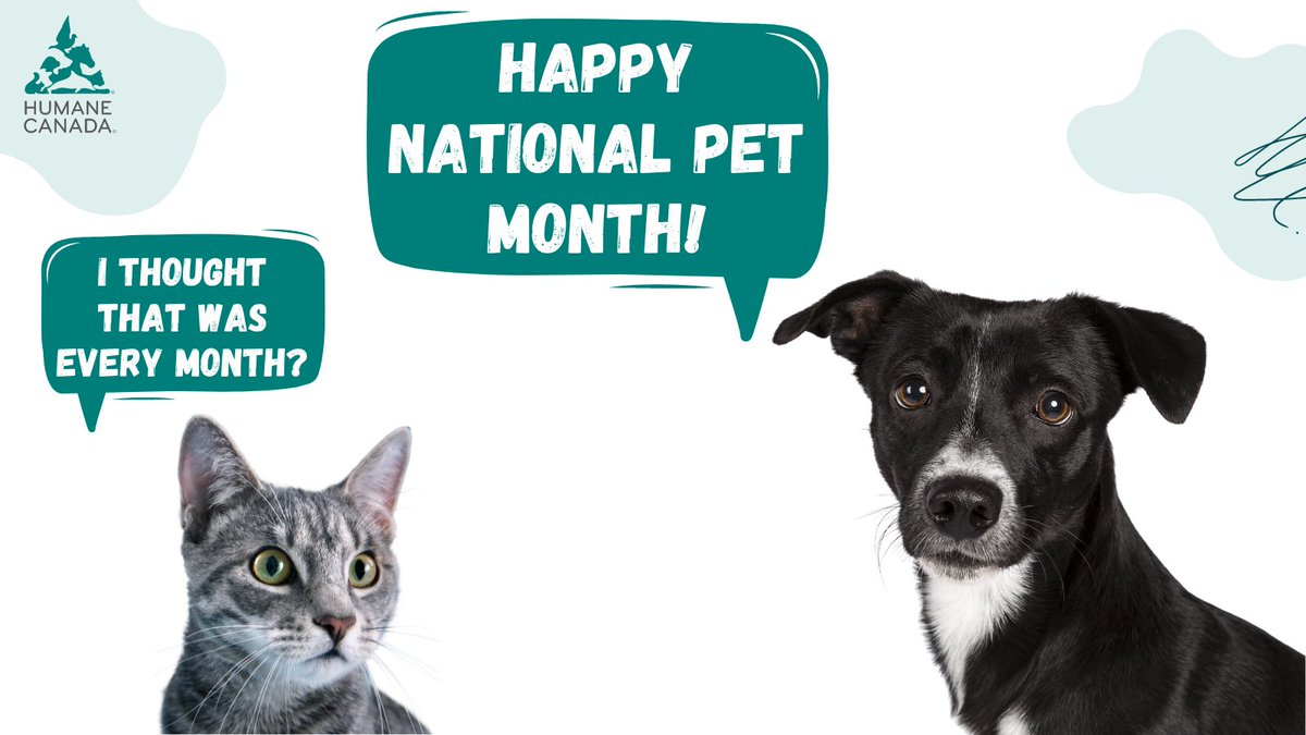 Life isn’t complete without our companion animals! 🐶🐱 May is #NationalPetMonth and as Canada’s trusted voice for animal welfare, Humane Canada advocates for companion animals and is dedicated to developing projects, programs and research focused on their welfare.