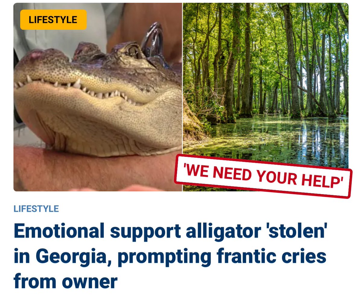 So how fucked up does one need to be to decide an alligator would be a good support animal.. damn son✌🏼