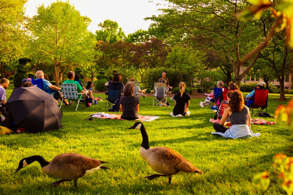 Even the geese enjoy Daron Larson’s mindfulness sessions at Topiary Park 🌳💕🧘‍♂️💕🌳 #mindfulness #meditation