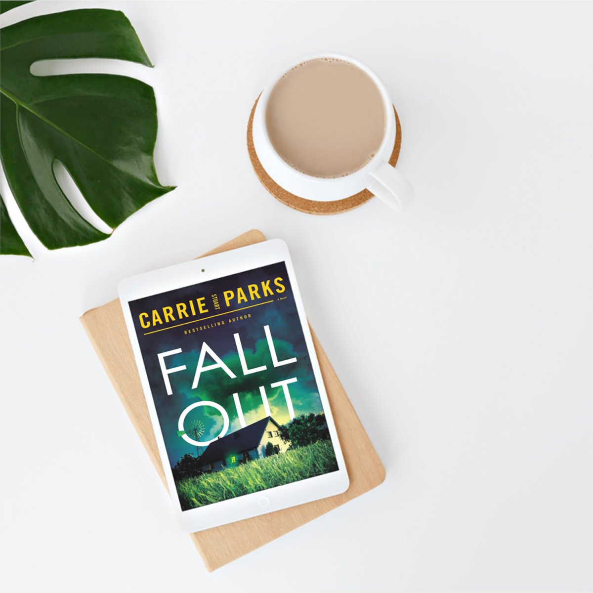 Fallout by #CarrieStuartParks 'had that edgy dark vibe. Danger, risks, #suspense, and #mystery all perfectly woven into an epic adventure. Plenty of #action and danger to keep my heart racing.' ~ @urbanliterary bit.ly/3Wtvj83 #book bookstoread #whattoreadnext