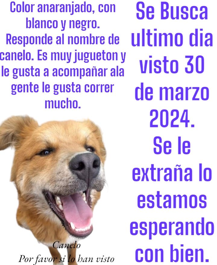 @rumabo1 @TlaneDenuncia @OpDmt @TlanepantlaDH @JPR_TLANEPANTLA @PrrosPerdidosMX @PpEncontradosMx @DefensaAnimal @DefAnimalMX @xjusticianimal @fellpudito @nydiacervera @UribeMerle @RefugiOceaniCAN @koncientizando @EsEstra