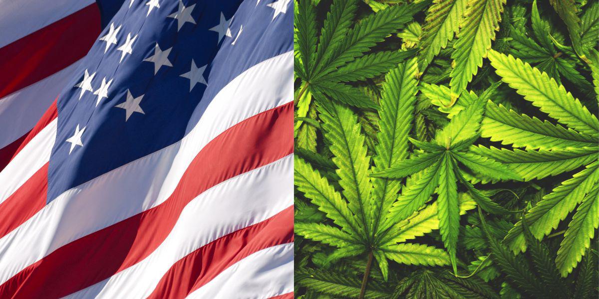 #INTERNACIONALES El presidente Joe Biden está a punto de establecer un precedente significativo en la política de drogas de Estados Unidos al suavizar las restricciones federales sobre la marihuana. Más información⬇️ lc.cx/hv4avh