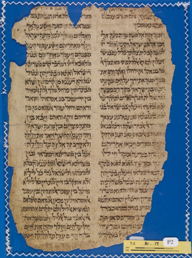 Trilingual Bible written in a Yemeni style, with the text of Exodus in Hebrew, Aramaic, and Arabic. Each verse begins with the original Hebrew, followed by the Aramaic of Targum Onqelos, then a translation in Judaeo-Arabic. Ca. 13th-14th century. #Manuscript #medievaltwitter