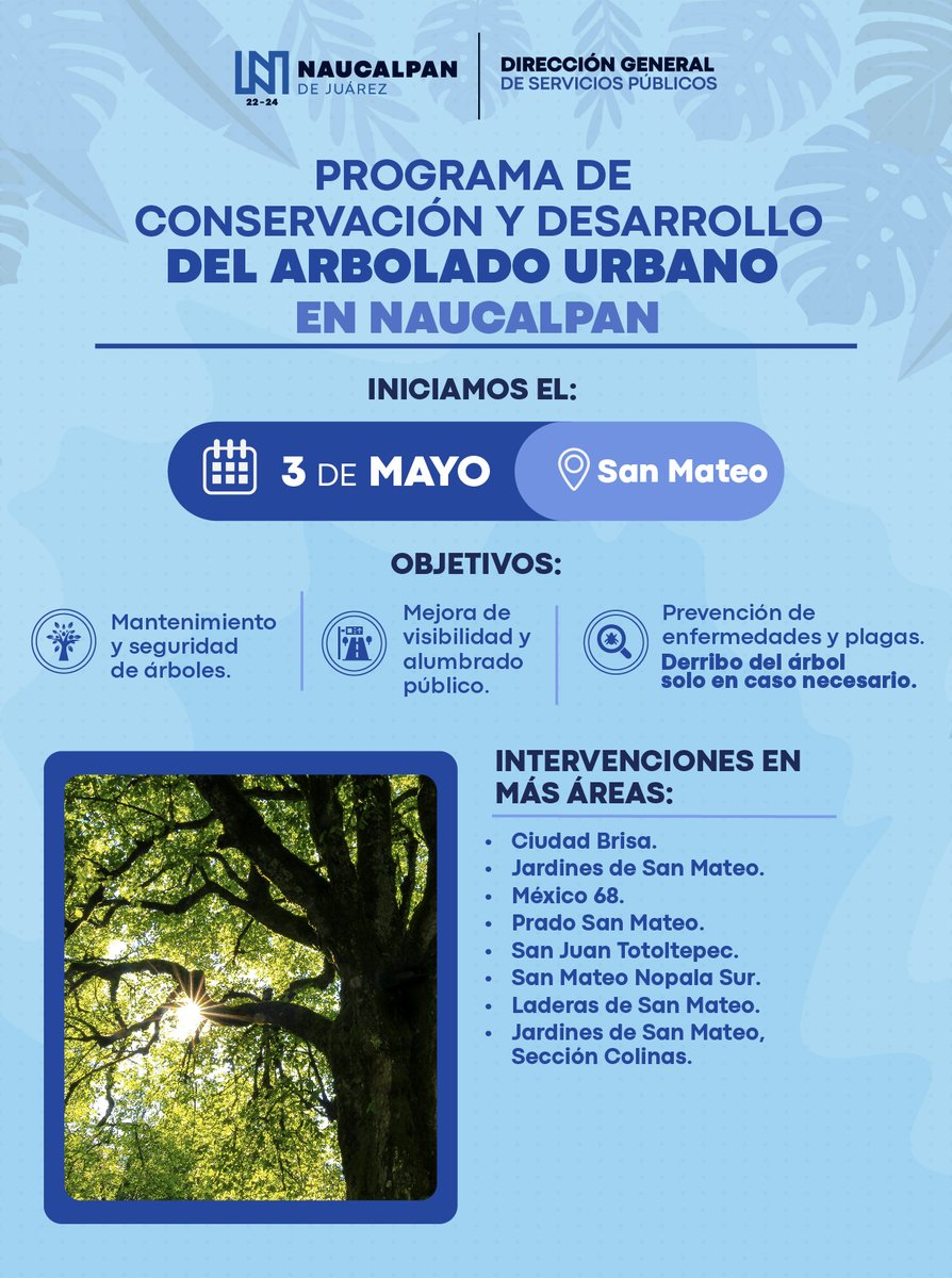 🌳🌲 Programa de Conservación y Desarrollo del Arbolado Urbano en Naucalpan. ¡Cuidar nuestros árboles es cuidar nuestra comunidad! En Naucalpan estamos comprometidos con el mantenimiento y desarrollo sostenible de nuestras áreas verdes urbanas.