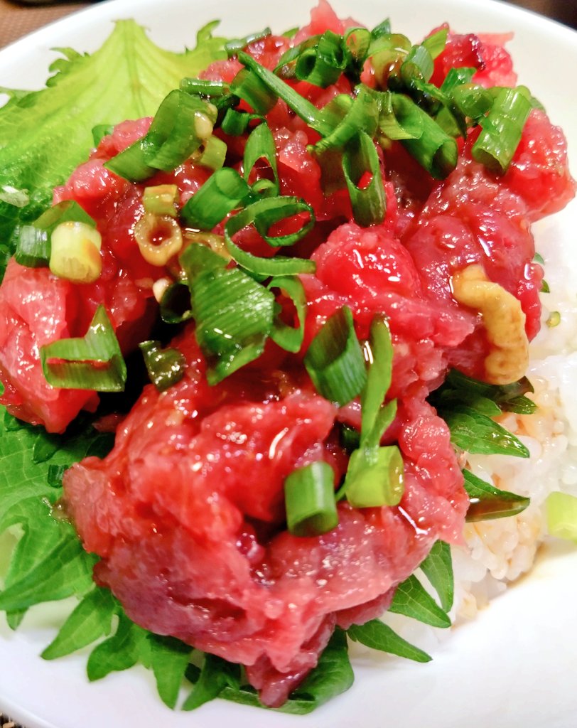 おはようございます🍉

ねぎとろ丼⭕
埼玉南東は晴れ☀

#朝ご飯 #おうちごはん #料理好き #家庭料理 #お弁当 #料理好きな人と繋がりたい #青空ごはん部 #お弁当 #料理好きな人とつながりたい #埼玉応援