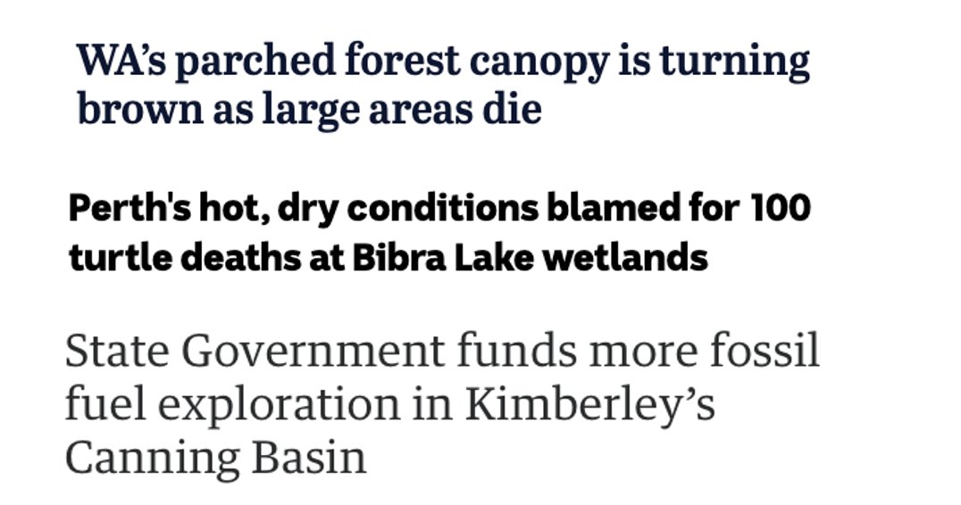 🚨🚨TODAY'S HEADLINES ➡️WA’s dying forests need urgent monitoring as they face impacts of climate change ➡️Record breaking heat blamed for mass turtle deaths, fears of local species extinction ➡️@RogerCookMLA's gov funds new fossil fuel projects!🤯 @walabor is out of control!