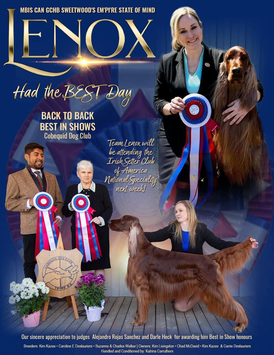 ☘️ Lenox <a href="/WKCDOGS/">Westminster Kennel Club</a>