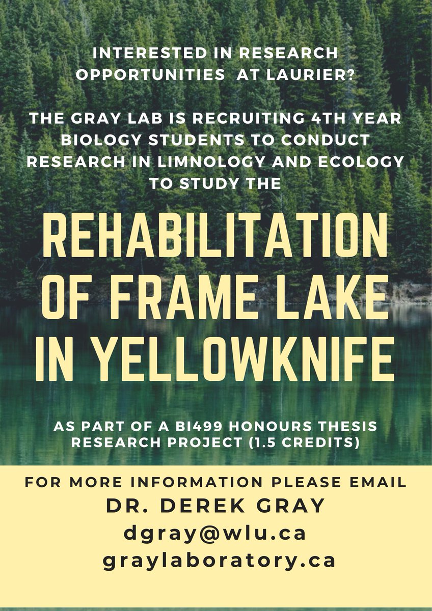 Entering your last year in @LaurierScience & want an engaging @LaurierResearch opportunity? Consider applying for a #BI499 honours thesis project students.wlu.ca/programs/scien… in the lab of one of our #LaurierBiology faculty members, like Dr. Derek Gray (graylaboratory.ca) ⬇️