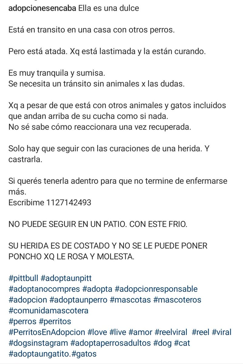 TRÁNSITO URGENTE PARA ELLA POR FAVOR