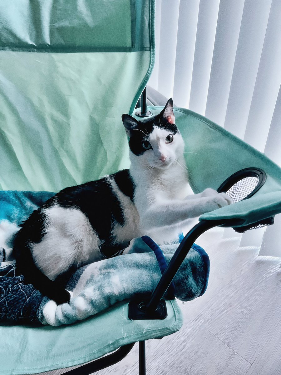 Charles McBiggums, First Earl of Floor, has conquered the kingdom of Chair