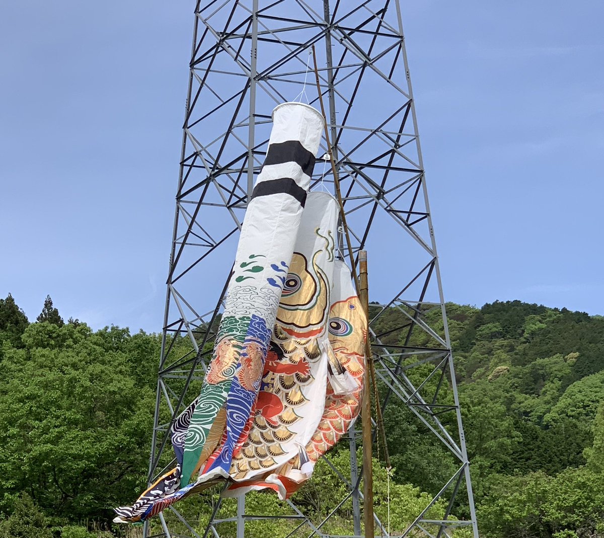 今年も長登にこいがのぼりました🎏