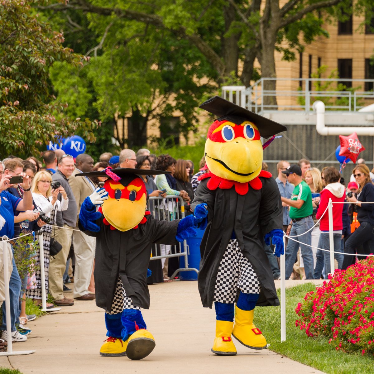 It's commencement month, #Jayhawks! Join us in welcoming our newest class of #KUAlumni by sharing your congratulations in the comments below! #RockChalk #KU #KUGrads