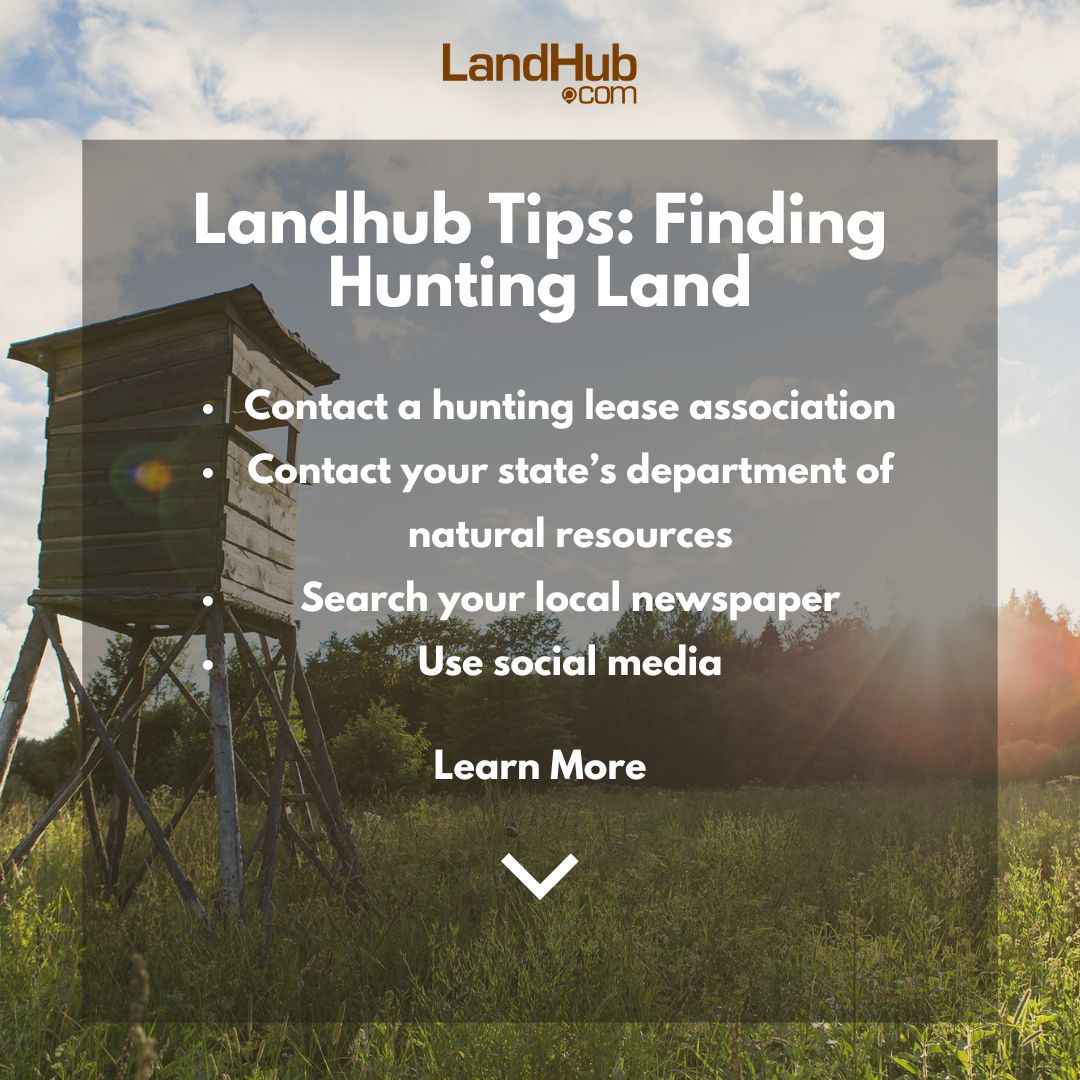Looking for #HuntingLand? Check out these #Landhub Tips! buff.ly/3Uraslg