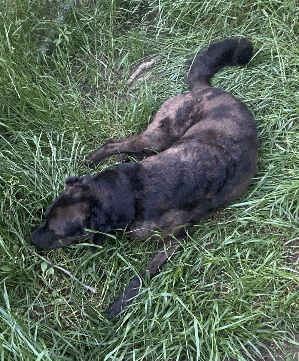 Sister in the grass