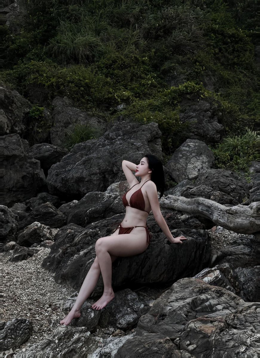 hoang thi dung tweet media