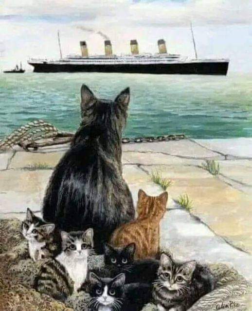 The 'Titanic Cat' who foresaw the sinking and retrieved her babies before the ship sailed. Jenny the cat was the Titanic's mascot, brought on board to help fight rodents. She lived in the ship's galley and was cared for by a laborer named Jim Mulholland. During the sea trials,…