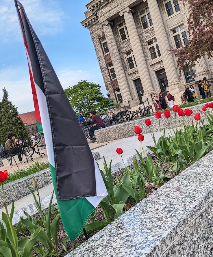 Tulips, Palestinian Flag, Morril Hall and people milling about, relaxing. University of Minnesota. Minneapolis. 5-1-24 #FreePalestine #solidarityencampment  #GazaSolidarityEncampment