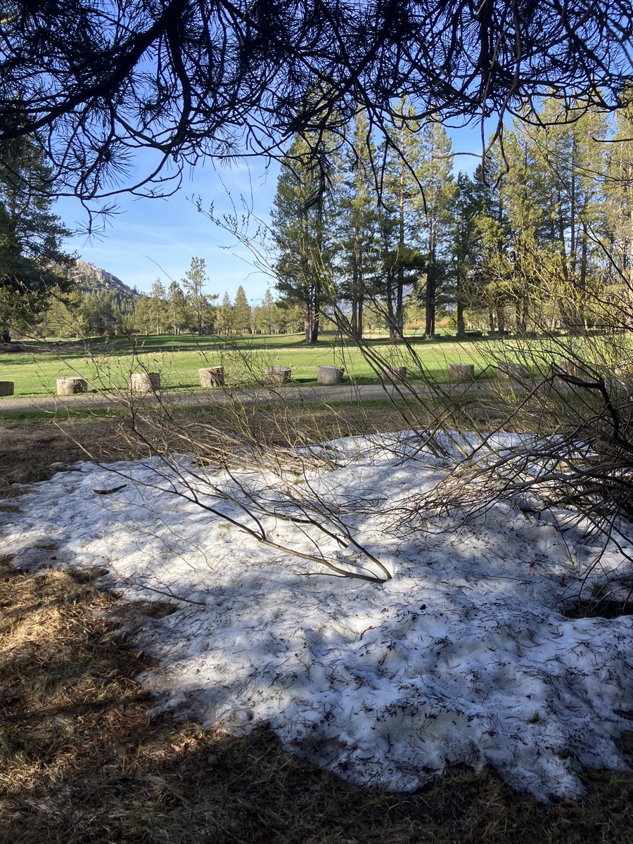 Still a bit of snow in the rough though the golf course at Washoe Meadows is open today. #tahoesouth