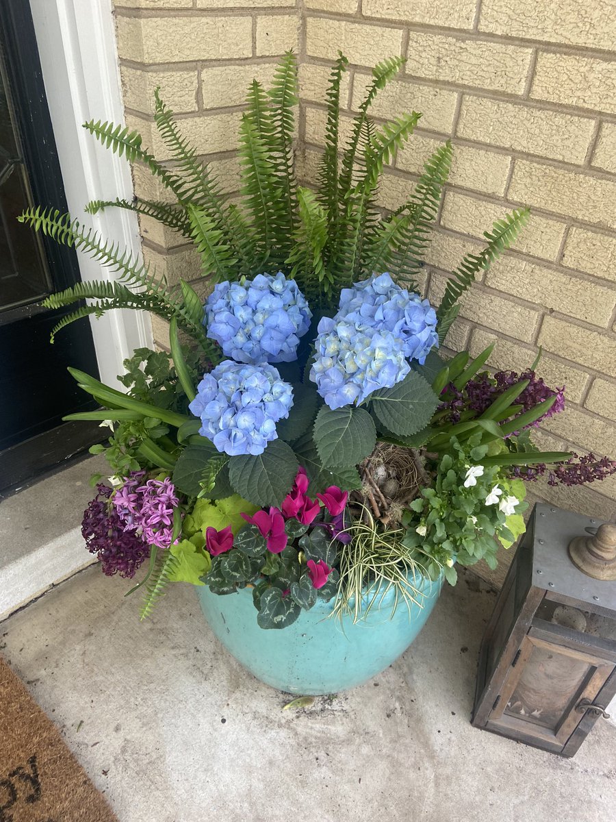 This lovely lady brings me joy each time I enter the Clermont Casa. #flowerpower  #Spring2024