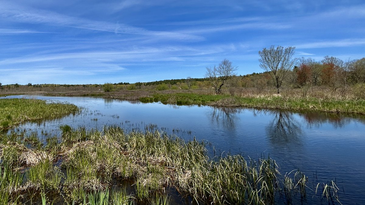 tranquility, reflection and subtle, continuous movement