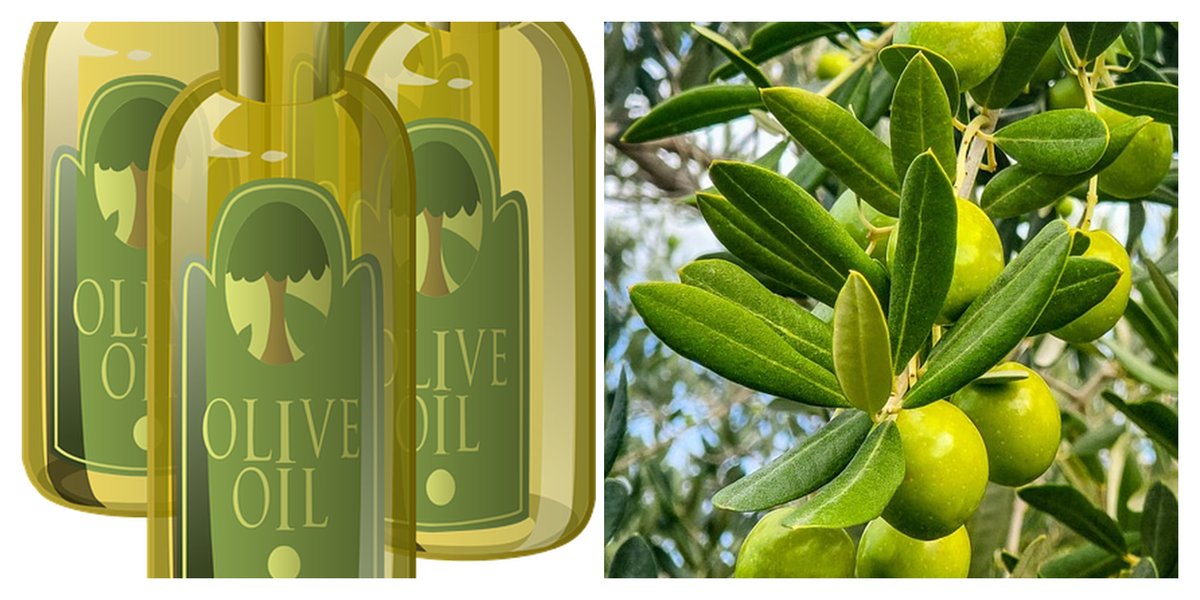 Olive oil price increase.  🙃♘