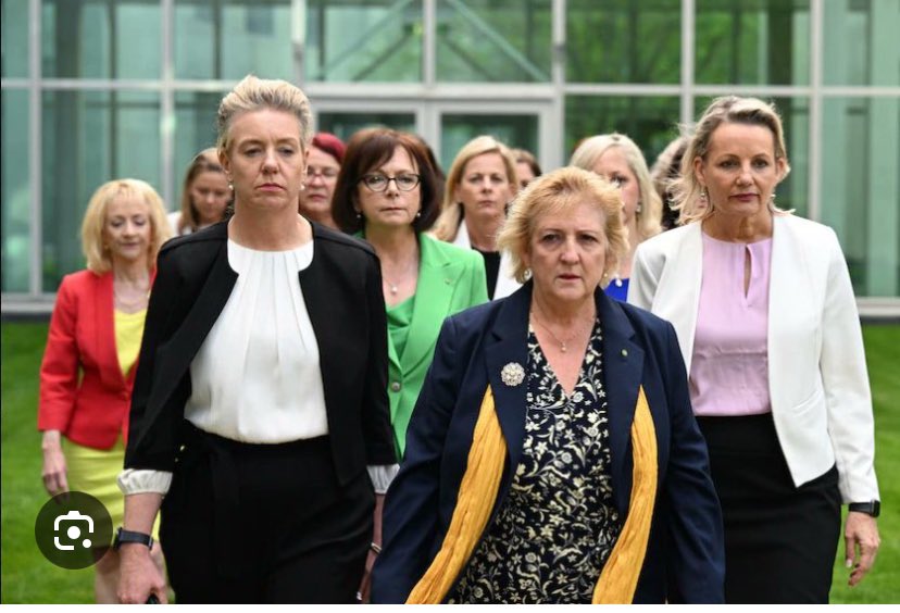 Serious question what did these LNP do for Domestic Violence victims or women who’d experience sexual assault when they were in Government. Did they support Ms Higgins & Ms Tame? Did they install any supports or money for victims? The stink of hypocrisy! #LNPMeanGirls #auspol