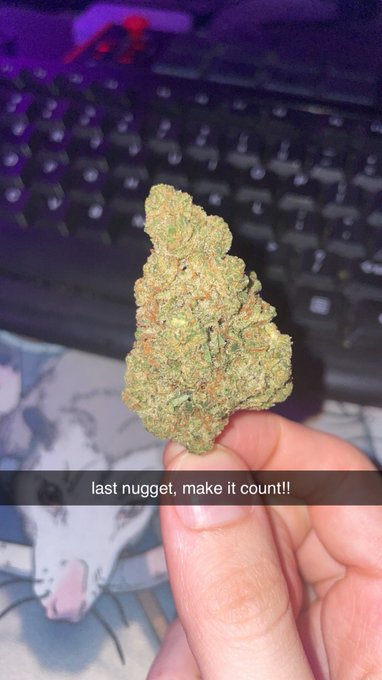 >,,< https://t.co/Jgk9f4fQLM