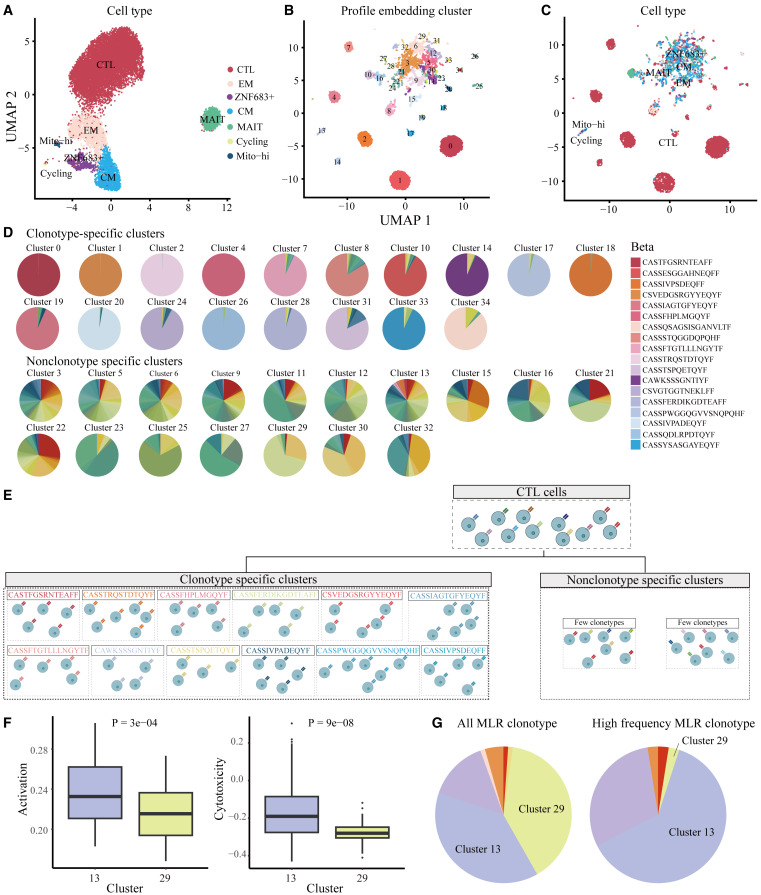 Novel multimodal integration framework for integrating scRNA-seq & TCR-seq to explore T cell diversity that includes epitope-TCR binding prediction @CellGenomics cell.com/cell-genomics/…