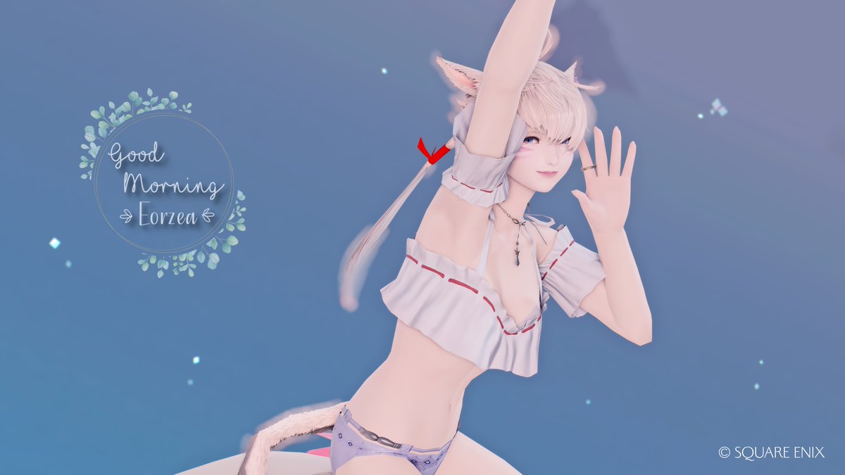 ꕤ おはようミコッテ𓏲𓎨🤍

今日頑張れば明日からお休み♩

#FF14 #GPOSERS #おはミコ #ミコッテ
#るねロゴ