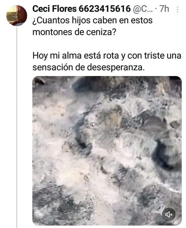 Resulta que esta publicación fue una fake. Se trata de restos de animales.