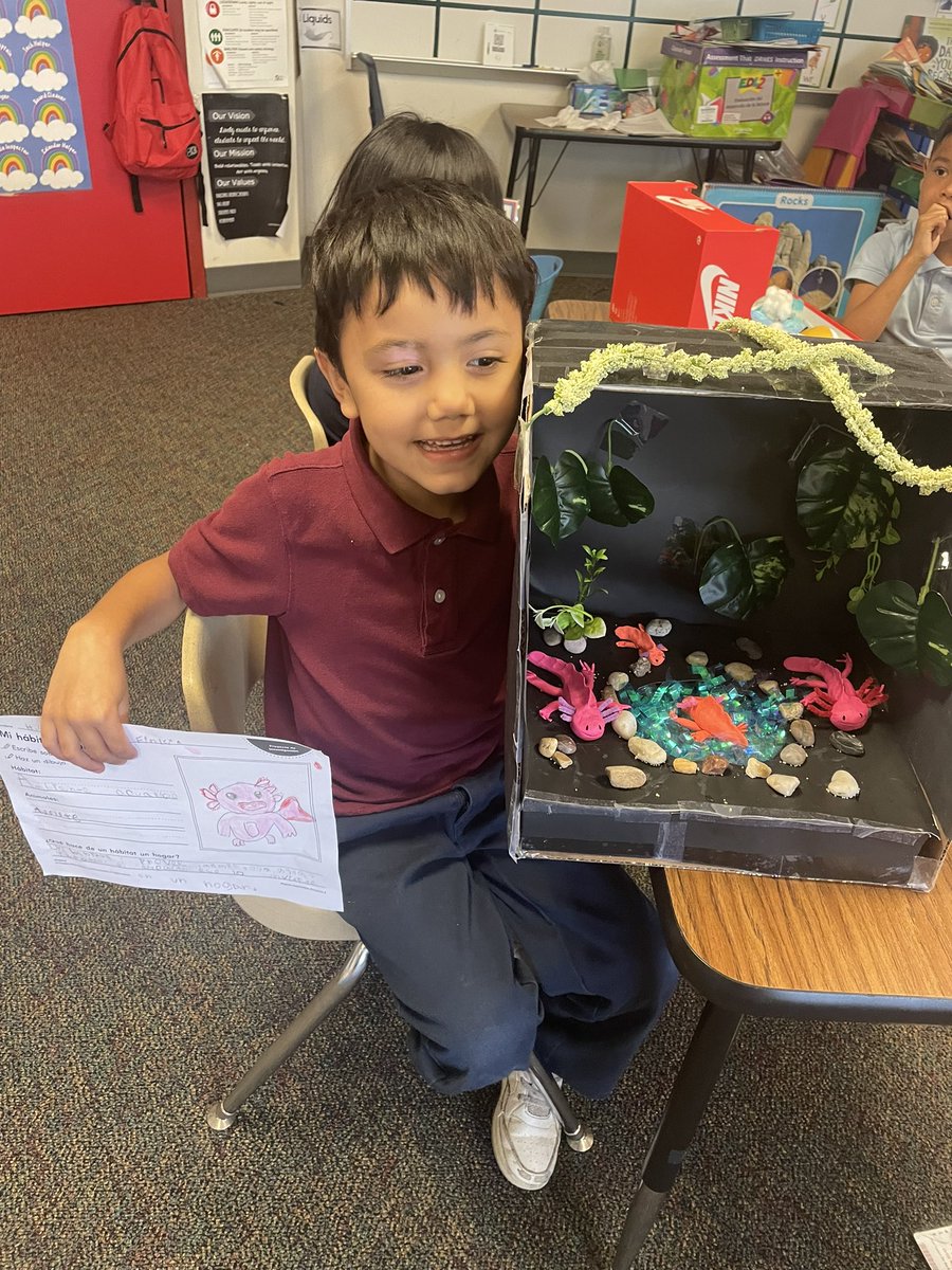 Axolotl, penguins, rabbit, ants, lions, dragonflies, and ladybugs are some of the animals my students spoke about today while exhibiting their dioramas. They have been so curious and excited about doing research in PebbleGo ❤️@LivelyEagles @IrvingISD @CapstonePub