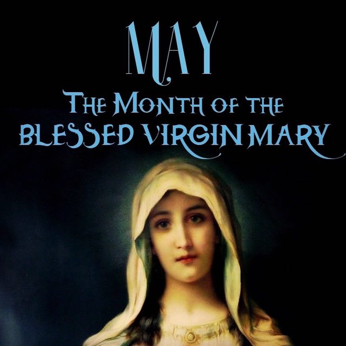 Catholics honor Mary. We don’t worship her. Do you honor your biologically mother by hanging a photo of her up and asking her for prayers on your behalf? Get it now? 😉