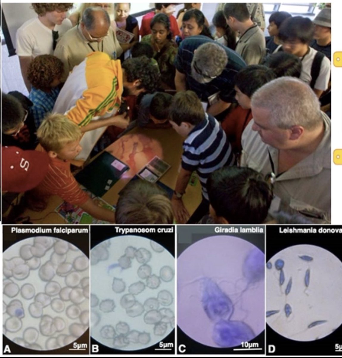 10yrs ago - we dreamed of sharing live microscopy images w large groups. That was seed of “Projection Microscopy” 📽️+ 🔬= ❤️ So happy we can finally release it in product form. @TeamFoldscope Kickstarter campaign. If you can - please support our efforts to democratize science.