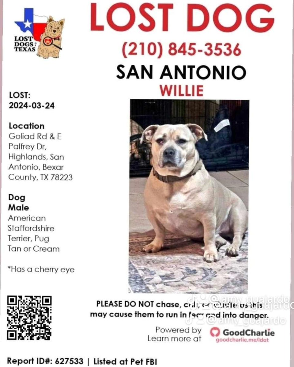 This sweet boy has been MISSING and was last seen on March 24, 2024, on Goliad and Pecan Valley at 5 pm.  Please share— there is a $500 reward for his return.  No questions asked. Contact (210) 845-3536. 

#LiveFromTheSouthside #SanAntonio #SouthsideSA #SouthsideSanAntonio…