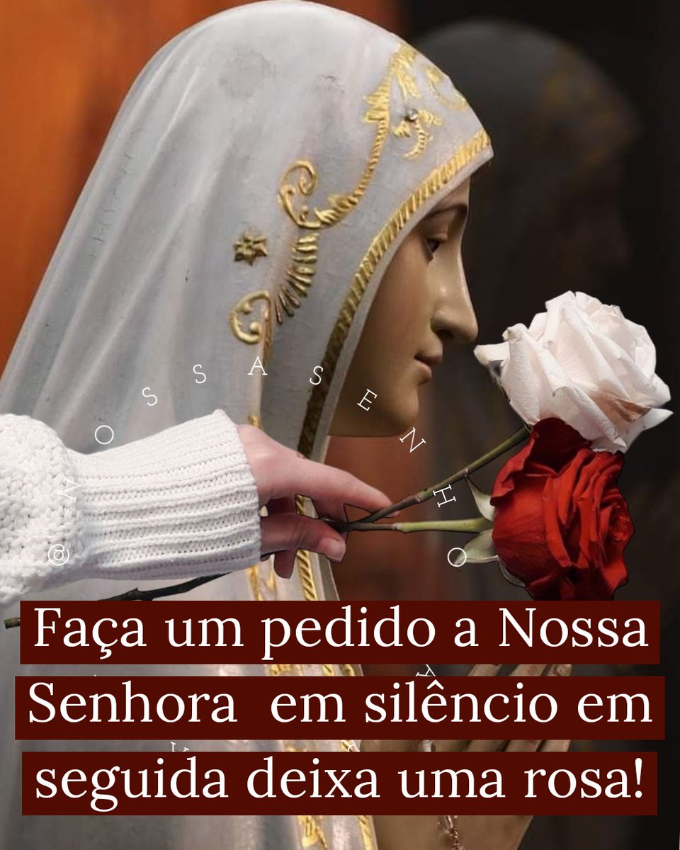 NSenhoraRosario's tweet photo. Hora da Ave-Maria!

Ave-Maria , cheia de graça , o Senhor é convosco , bendita sois vós entre as mulheres , e bendito é o fruto do vosso ventre , Jesus . Santa Maria , Mãe de Deus , rogai por nós pecadores , agora e na hora de nossa morte .

Amém!? 🙏❤️🌹🌷🌹🌷🌹🌷🌹🌷🌹🌷 https://t.co/3huIkwE3cx
