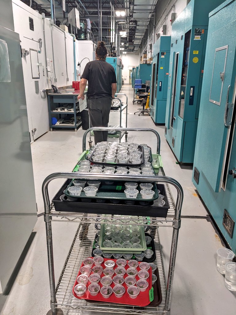 Jessica Linton tweet media