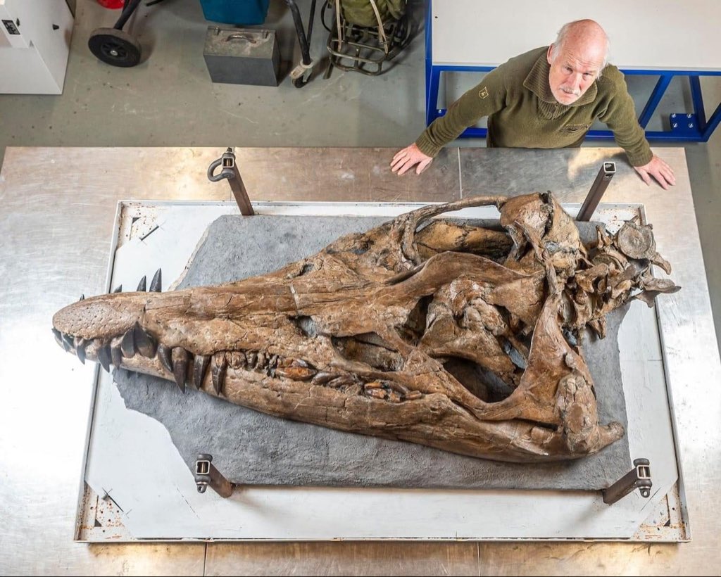150 Million-Year-Old 'Sea Monster' Found in England. The entire skull of a huge 'sea monster' was unearthed on the rocks of the Jurassic Coast in southern England. It belongs to a pliosaur, a ferocious marine reptile that terrorised the oceans about 150 million years