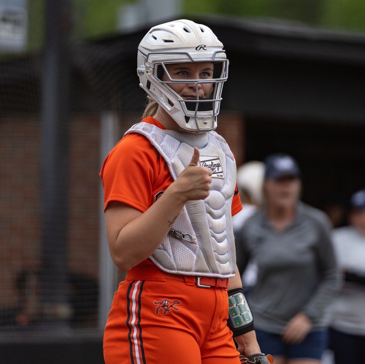 D1Softball tweet picture