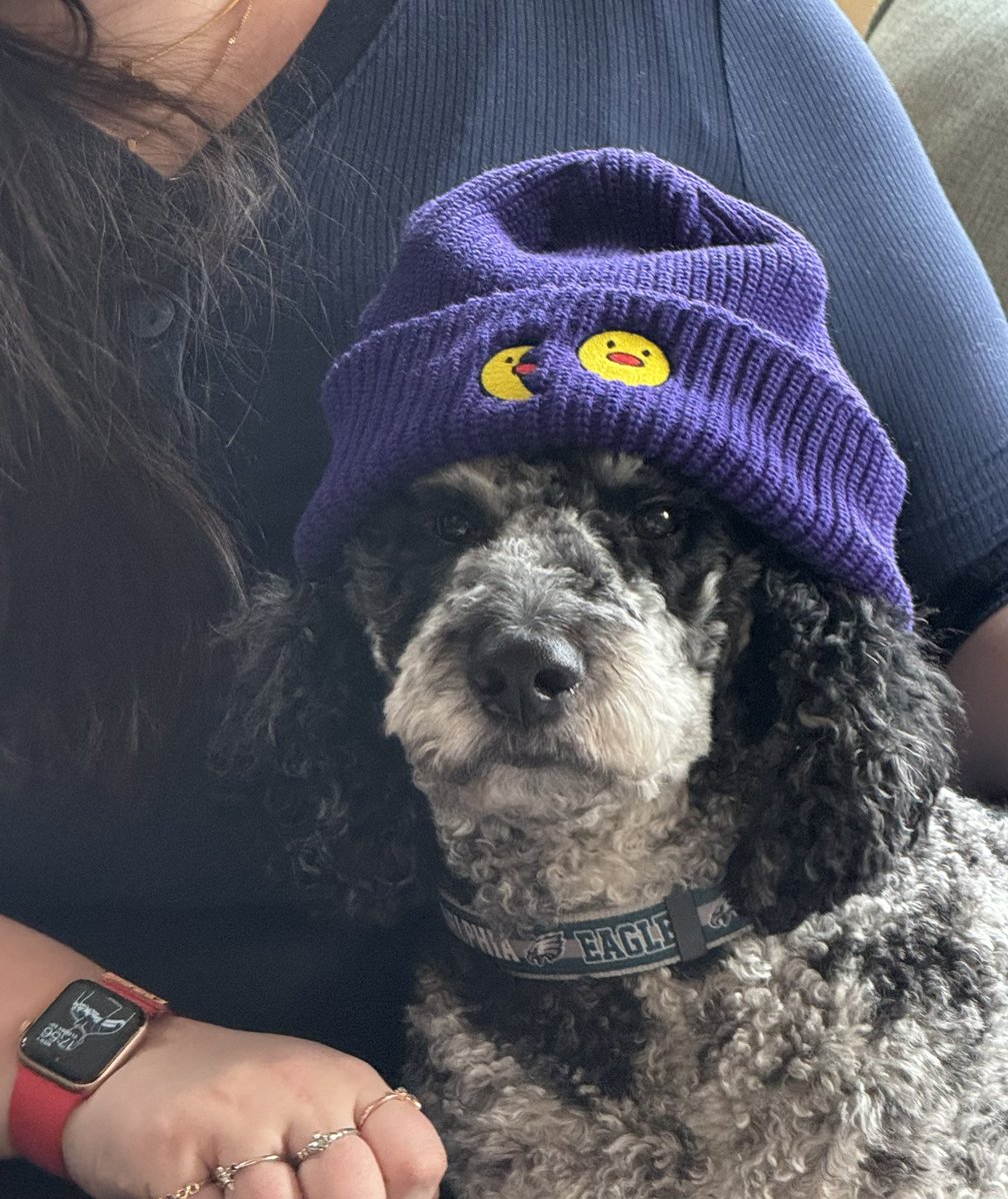My retrokid order finally came! I think Odie rocks the hat. @alysontheother @akastephens