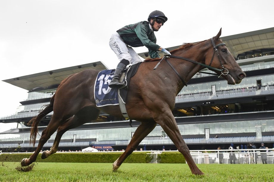 'It would probably mean more if he won, because it’s my home track’s biggest day.”

Mick Attard has got the taste for city success and hopes Putt For Dough can put him on centre stage again at Hawkesbury on Saturday. 📸 @Bradley_Photos 

READ: tinyurl.com/36ub2m5w