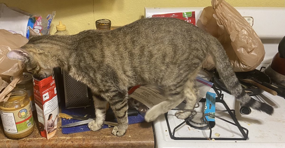 Salvador helping clean up the counter