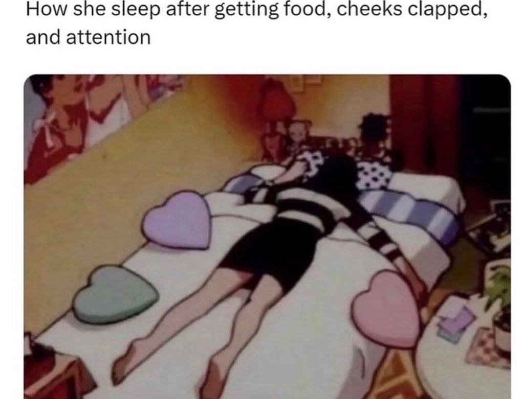 cravedcuddle's tweet image. 