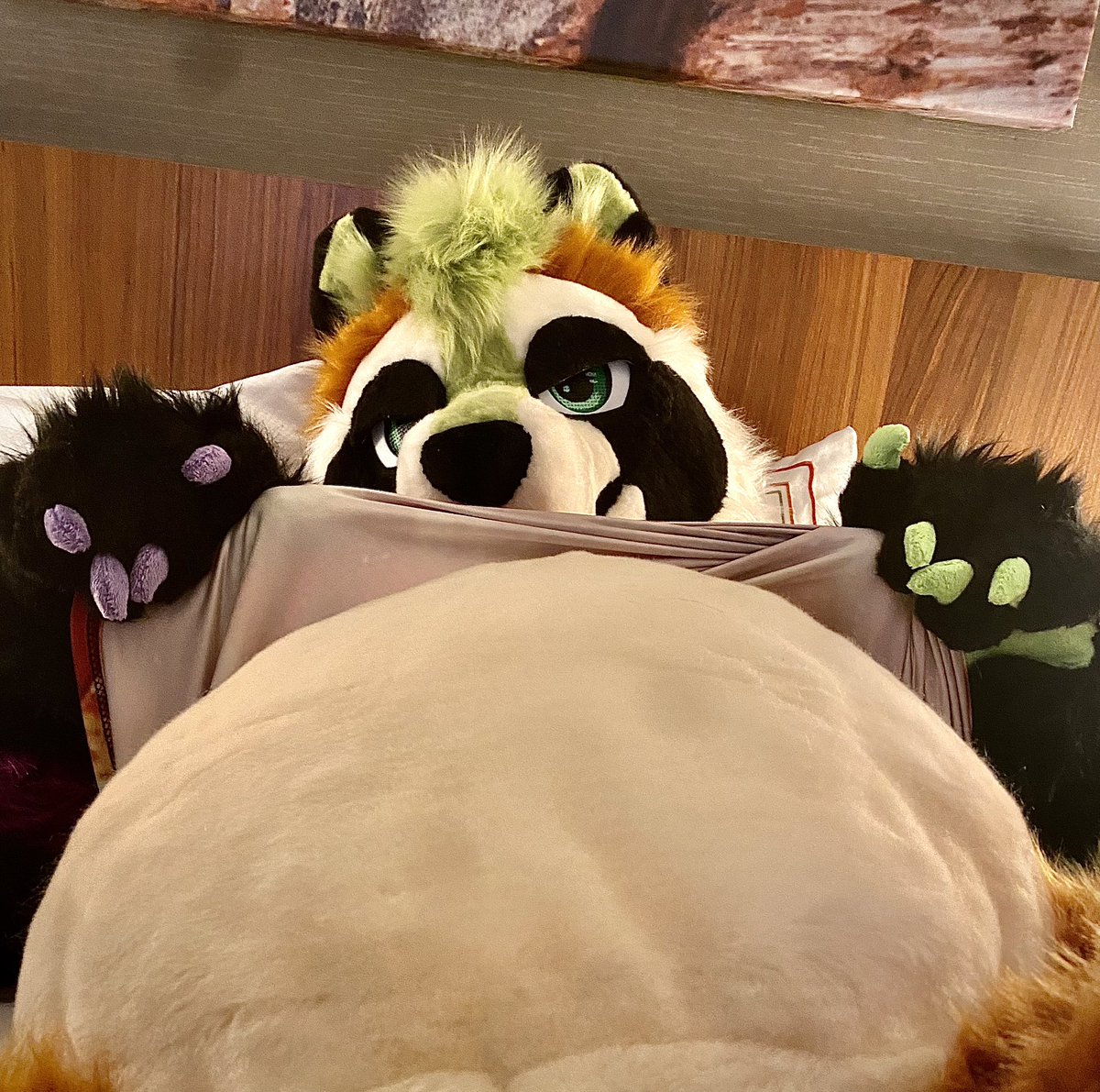 I showed you my belly plz respond with your fuzzy belly