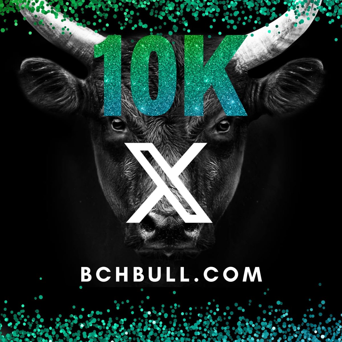 BCH Bull has reached 10k followers on X! Thank you to the growing community for supporting the number one, and fastest growing application on #BitcoinCash mainchain! Be the bull! app.bchbull.com