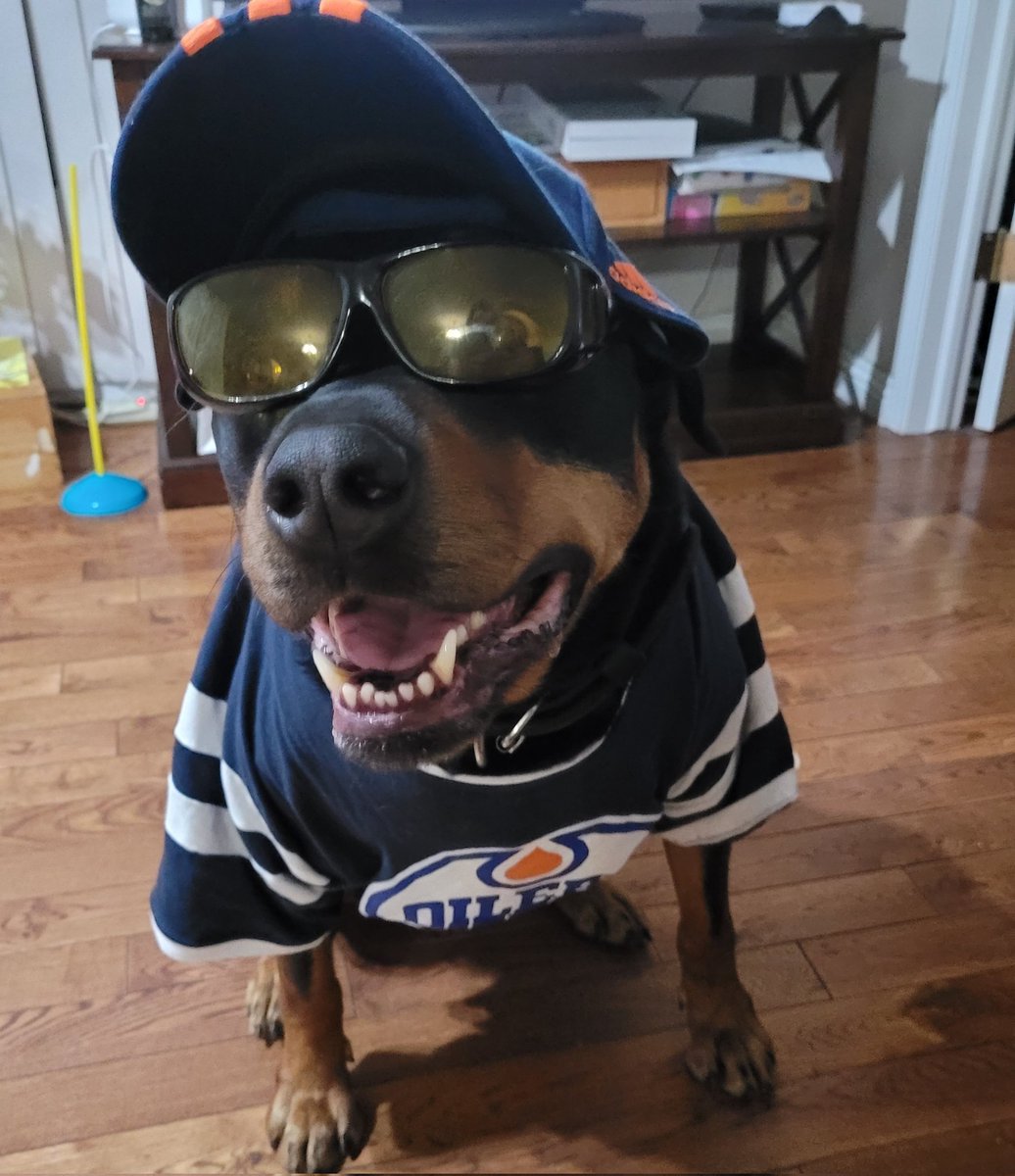 Tonight my @EdmontonOilers are taking on the @LAKings in game 5 of the first round of the Stanley Waterbowl Playoffs!!! If we win tonight we move on to the next round. If the Kings win, we go to game 6.
I'm predicting a 3-2 #Oiler win! Tonight we have chicken bites for goaltreats…