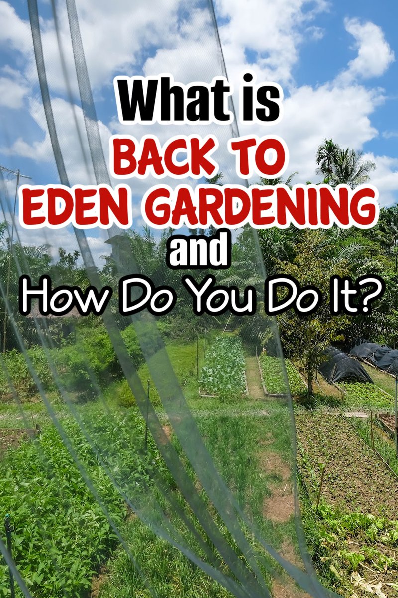 What Is Back To Eden Gardening And How Do You Do It?

dianfarmer.com/back-to-eden-g…
#gardeningismytherapy #gardensofinstagram #growyourown #urbangardening
