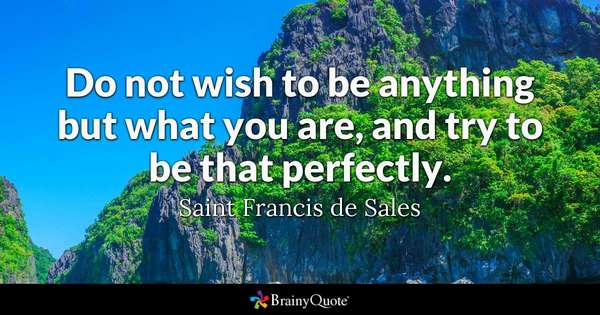 'Do not wish to be anything but what you are, and try to be that perfectly.' ~Saint Francis de Sales #leadership #quote