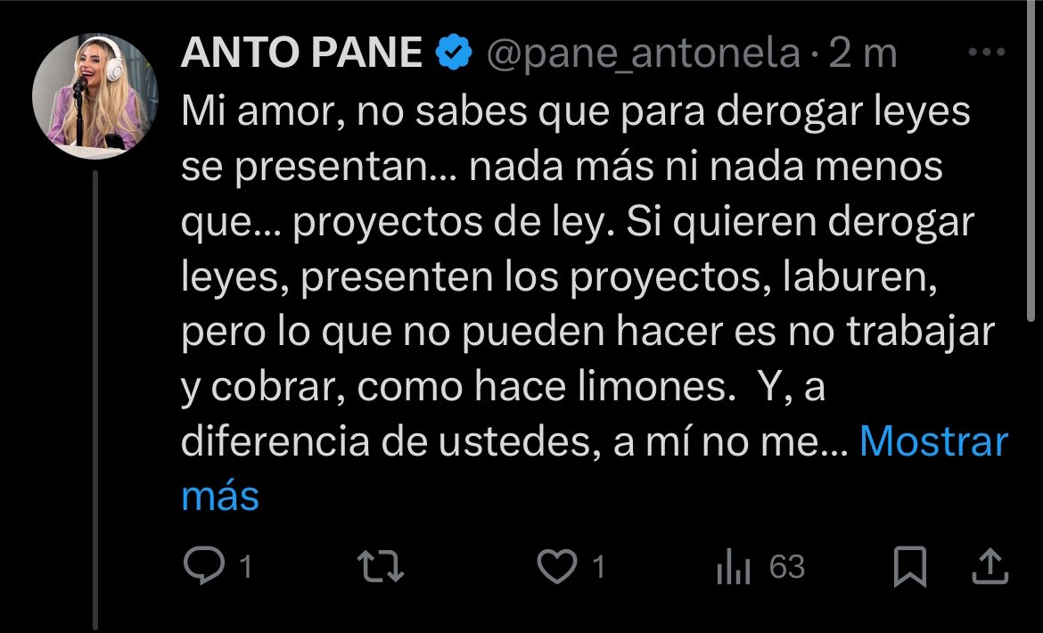 Sabrá que la Ley Bases es una ley? Necesito que sea la diputada del kirchnerismo del 2025