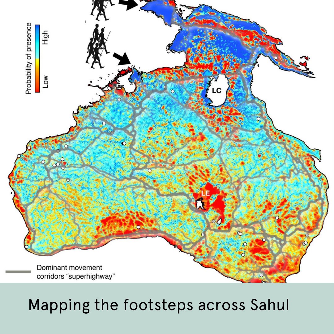 Dynamic landscape modeling reveals how evolving terrain impacted First Peoples' movement across Sahul (35,000-70,000 years ago) Led by @salles_tristan from @sydneyunigeo, the study offers a fresh perspective on studies of migration patterns. Read more: tinyurl.com/3yvuujpe