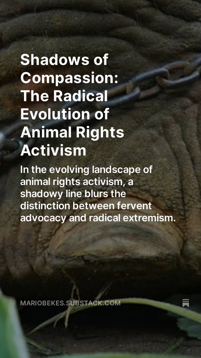 Shadows of Compassion: The Radical Evolution of Animal Rights Activism open.substack.com/pub/mariobekes… #ecoterrorism #terorism #ClimateCrisis #ClimateScammers #podcast #businessnews
